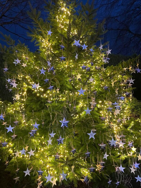 lit tree with stars on