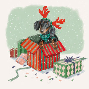 Pendleside Hospice 2026 Charity Christmas Cards